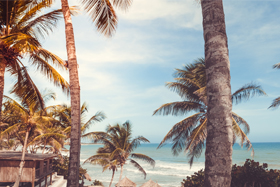 Vaccin contre la Diarrhée du voyageur à ETEC et le Choléra