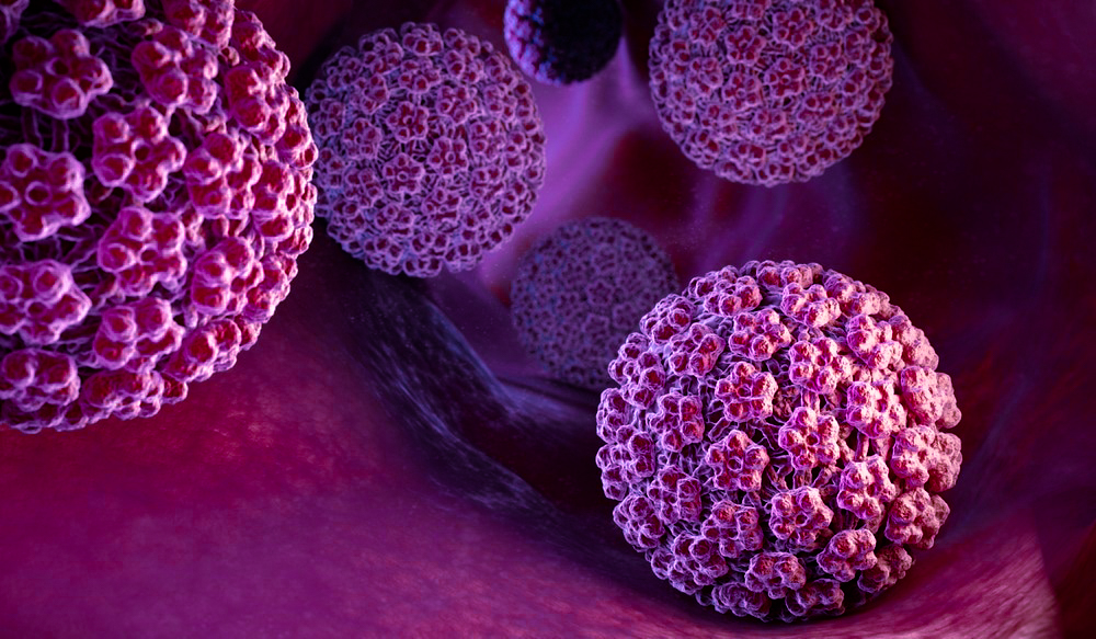 Le Virus du Papillome Humain (VPH)